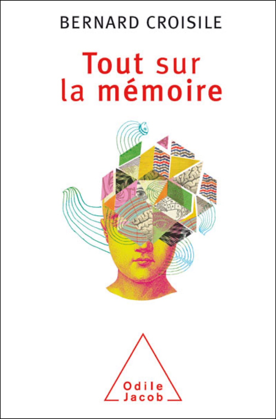 Couverture de Tout sur la mémoire